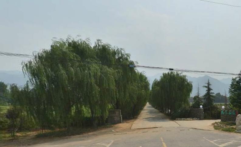 第310页